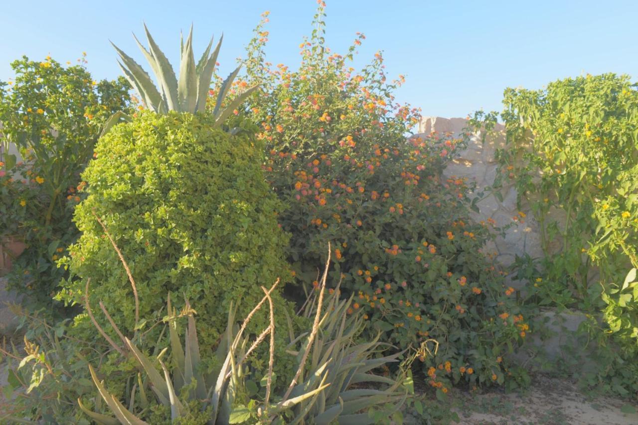Happy Bedouin House Petra Bed & Breakfast Al Hayy Luaran gambar