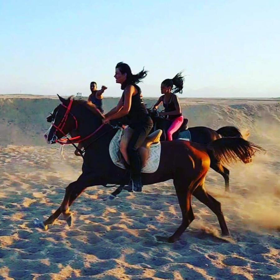Happy Bedouin House Petra Bed & Breakfast Al Hayy Luaran gambar